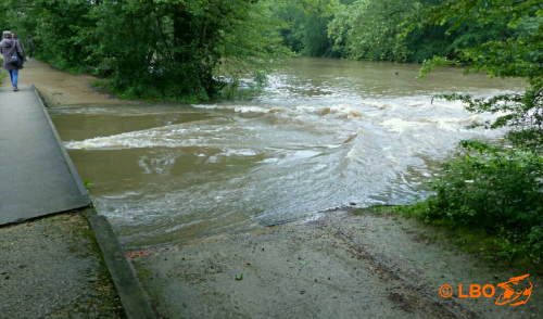 La rivière Loiret en crue...